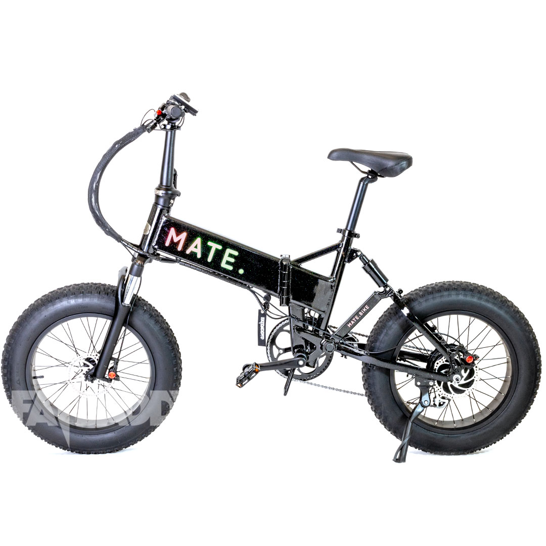 Mate X 250W Interstellar Mate X Interstellar