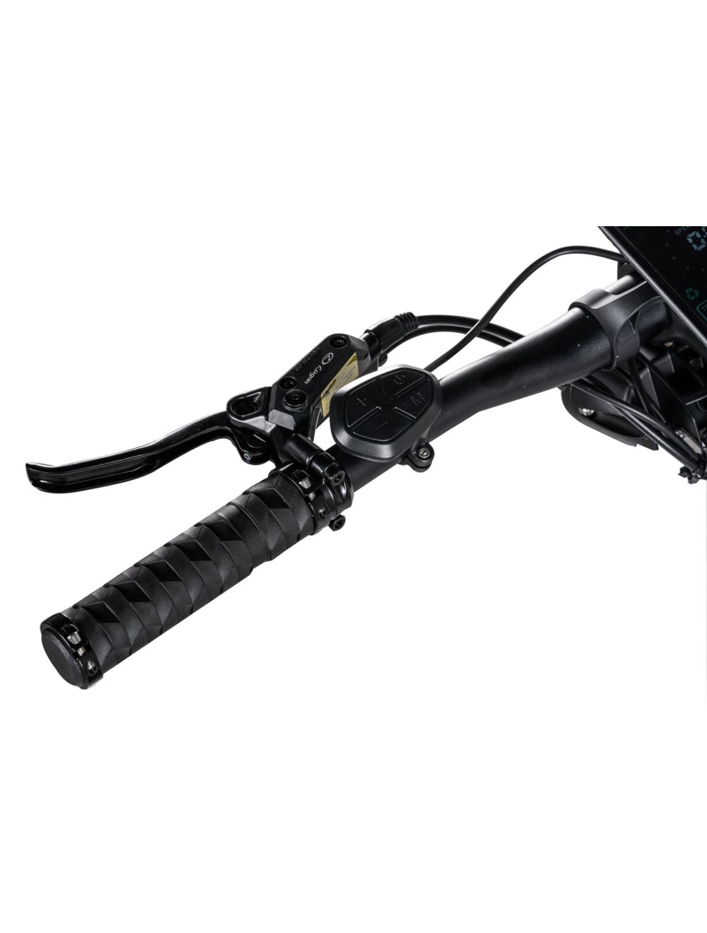 Nami Klima Nami Klima - immagine 7