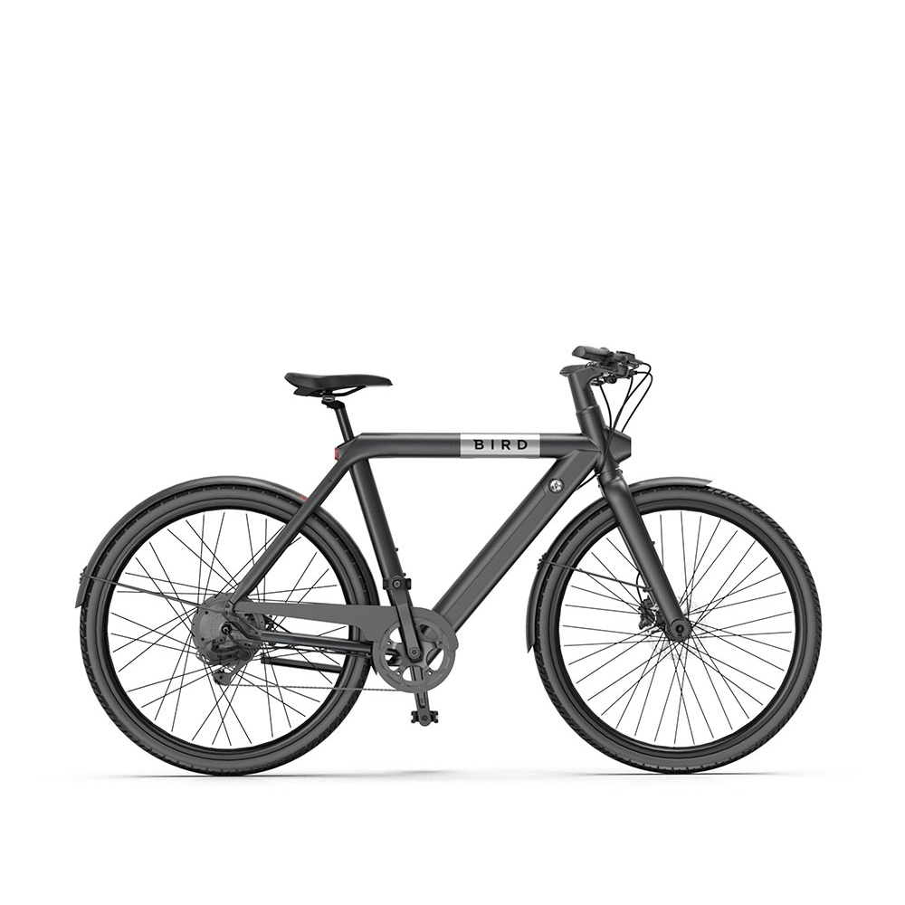 Citybike elettriche