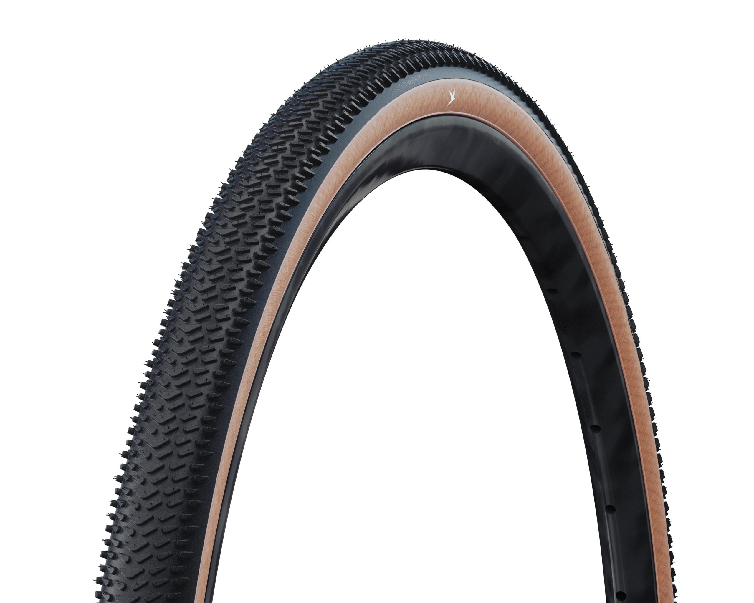 Schwalbe Btb G-One R Pro Evo 45-584 Black Transparent Foldable TLR